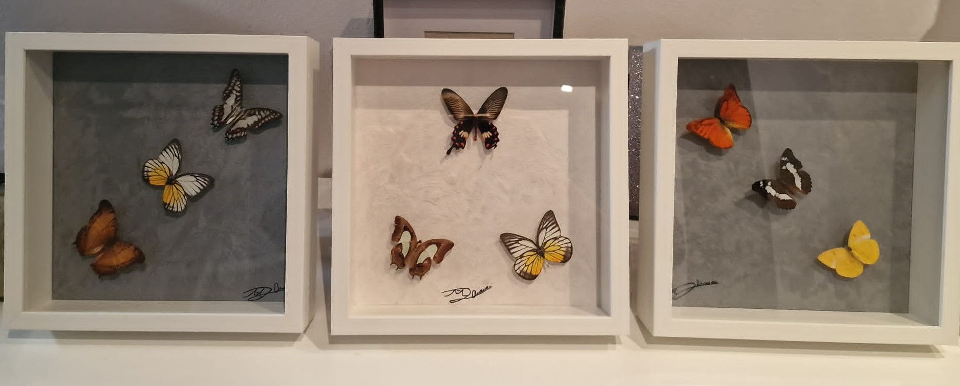 Living-Insect